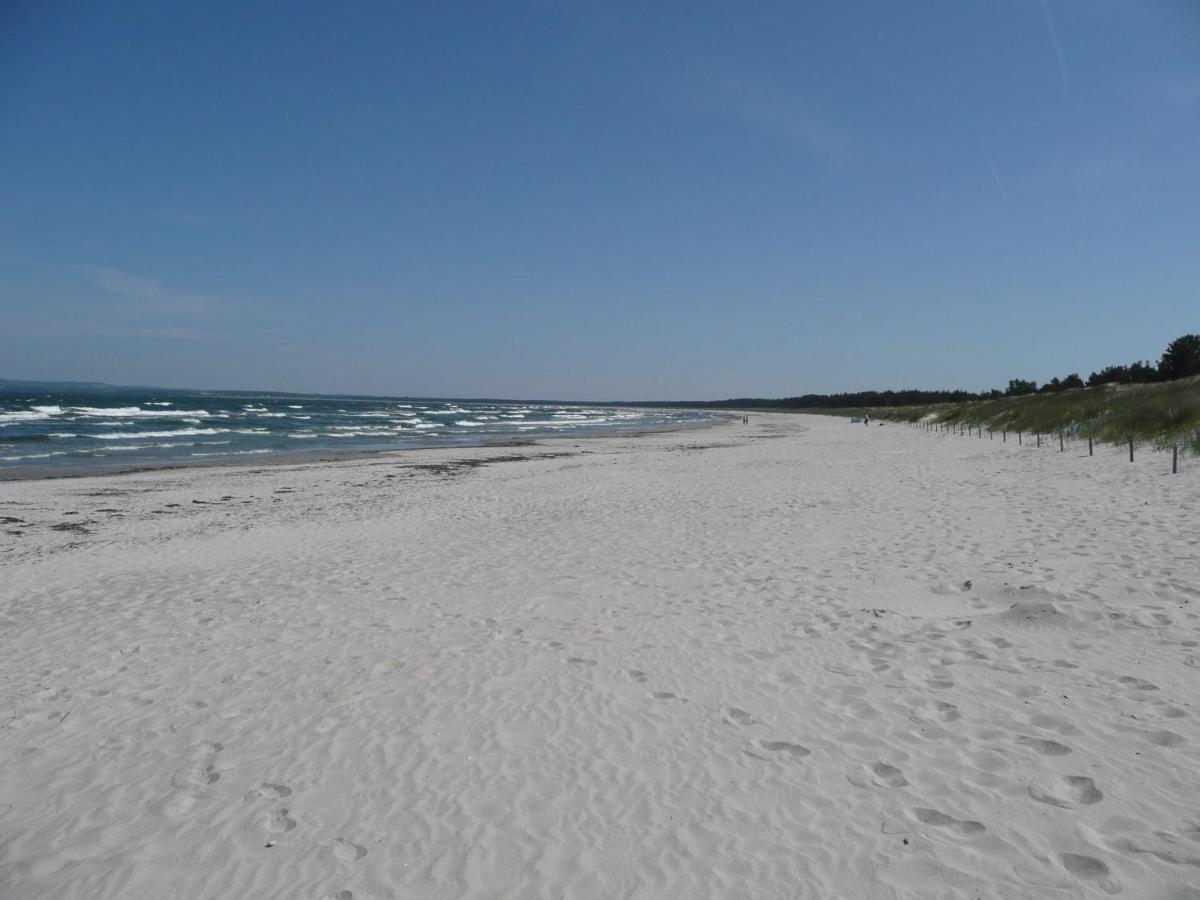 Ferienwohnung Mit Traumhaftem Meerblick - Haus Am Meer Fewo 10 レーメ エクステリア 写真